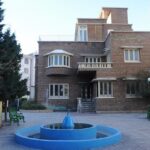 آیا چای به رشد سریع گل کمک می‌کنه؟