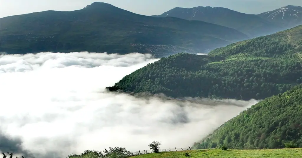 جنگل ابر روستای فیلبند