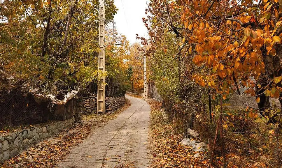 روستای افجه