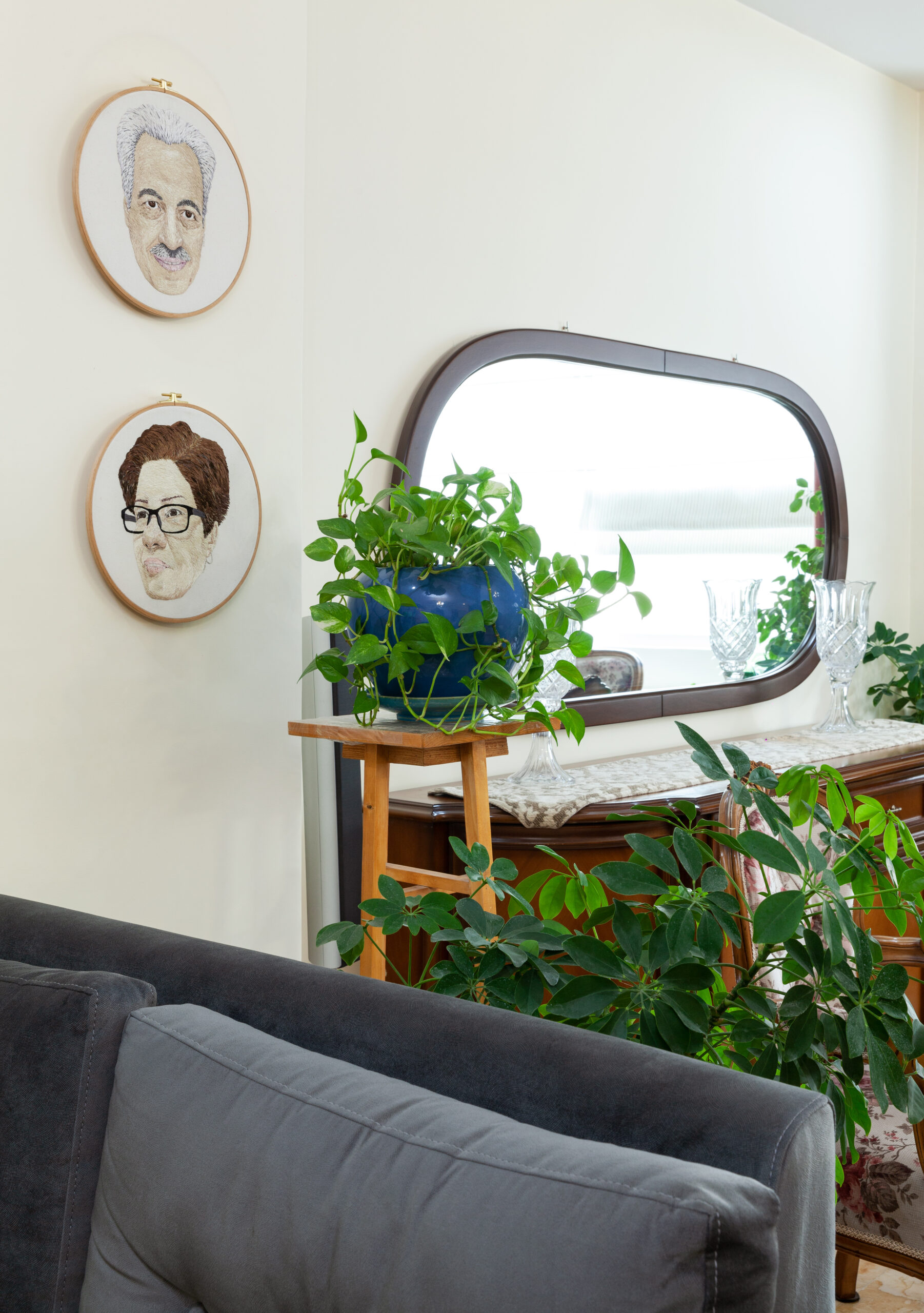 گیاهان آپارتمانی‌ خانه خانم احمدی