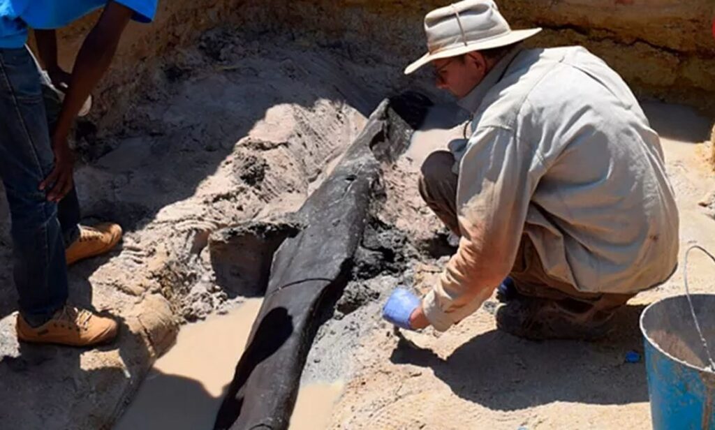 باستانشناسان در حال کشف قدیمی ترین سازه