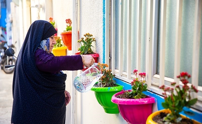 مشارکت اهالی برای بقای زیبایی کوچه امیدی