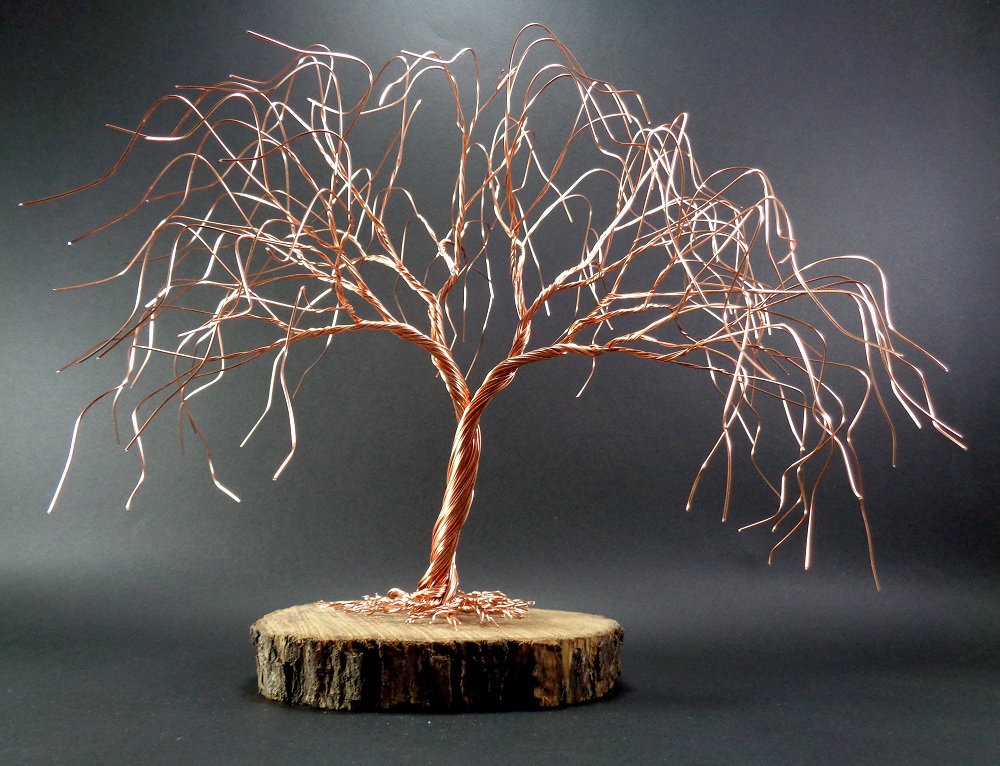 هنر حجم سازی، ساخت درخت بونسای با سیم!