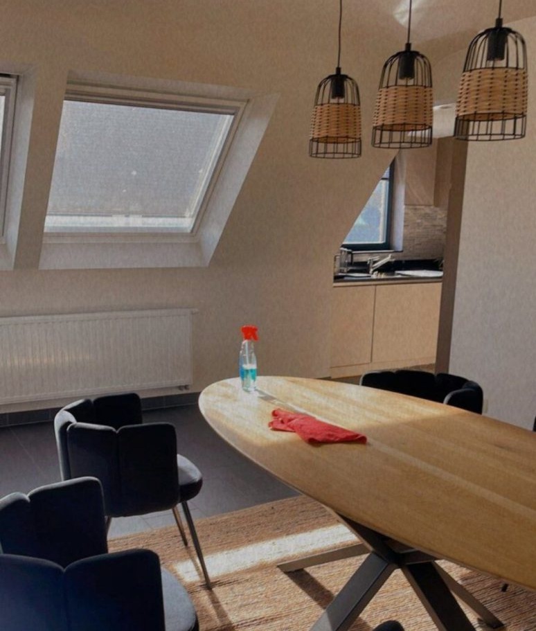دکوراسیون داخلی خانه شاهرخ استخری در بلژیک