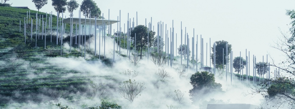 اتاق چای ابری چین؛ نوشیدن چای در چایخانه‌ مه آلود حتی اگر هوا ابری نباشد!