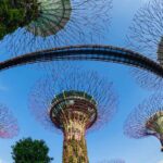 معماری فرازمینی سازه‌های “باغ های خلیج” در سنگاپور