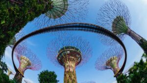 معماری فرازمینی سازه‌های “باغ های خلیج” در سنگاپور