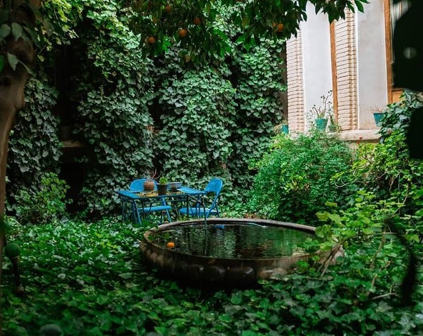 این خانه تاریخی در شیراز زیر فشار برگ‌ درخت‌ها دفن شده