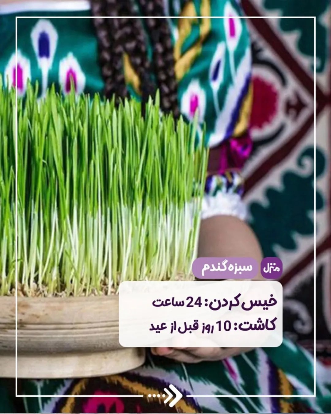 سبزه