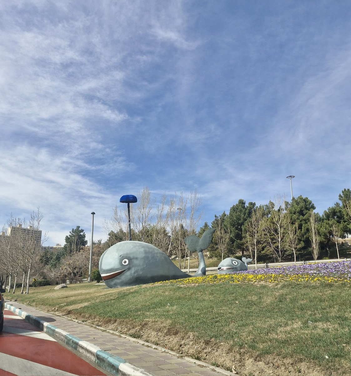 زیباسازی