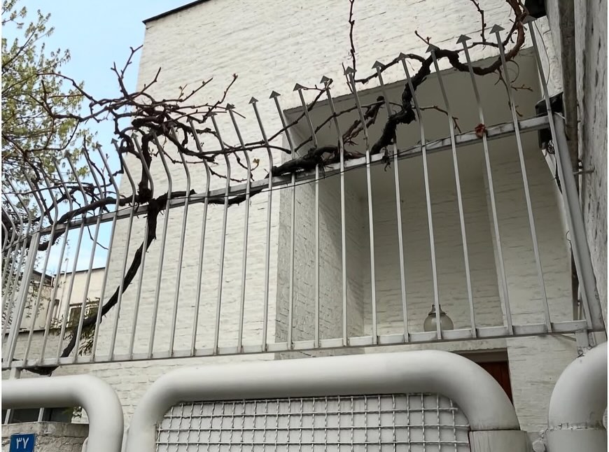 معماری در الهیه