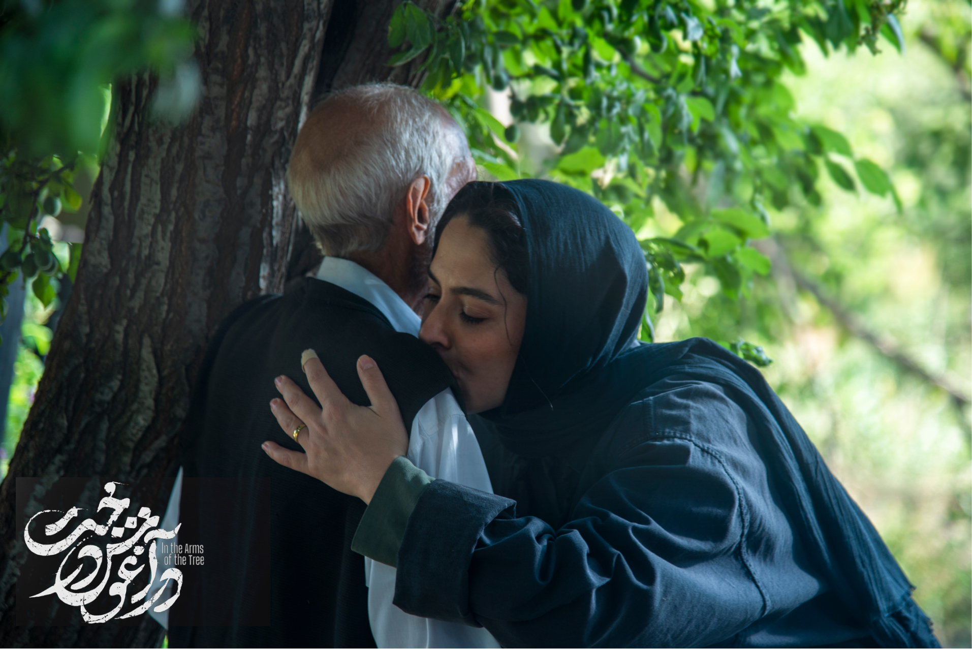 «در آغوش درخت» یک ملودرام زنانه آرام