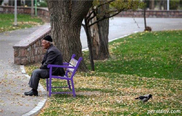 در تهران ماند و گلدان‌های همسایه را به این شکل از بالکن آب داد