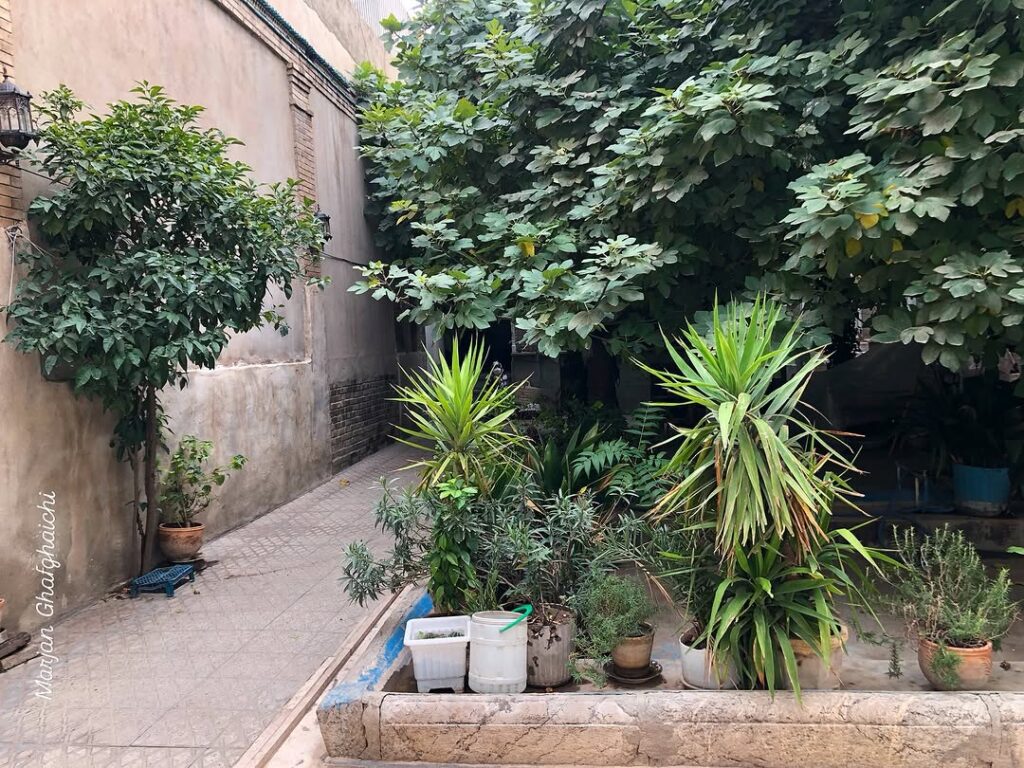 درخت انجیر، حوض و ورودی؛ این خانه نهایت نوستالژی است