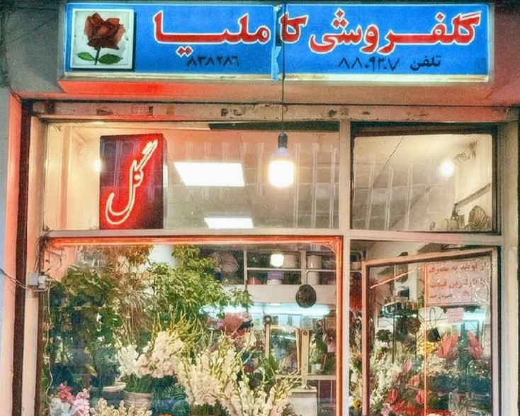 ویترین کاملیا، ضیافت رنگ و بو در خاطراتی که حالا یک بغض است