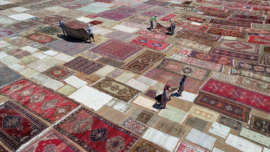 مزارع فرش در ترکیه؛ اقدامی عجیب که پشت پرده‌ها دارد
