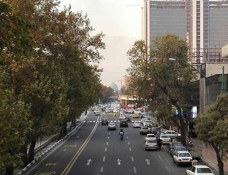 این خانه درونگرا در پیچ‌شمران سال‌ها بغض در گلویش دارد