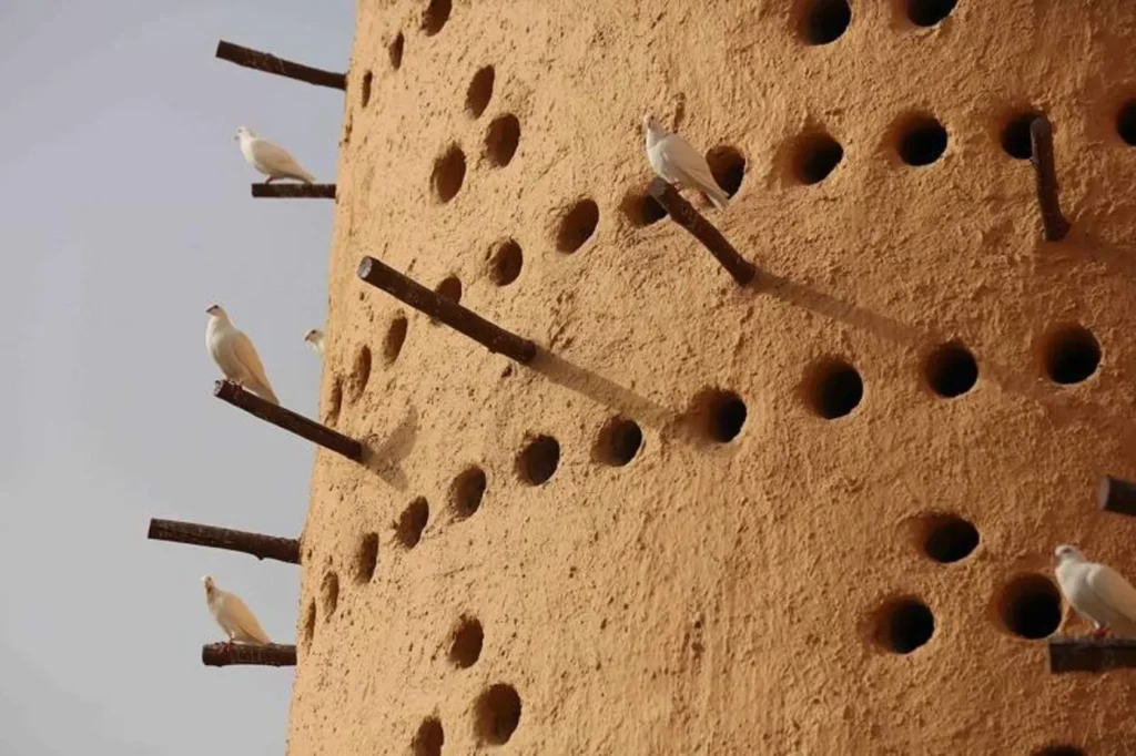 معماری ایرانی حتی با کبوتران هم مهربان است!