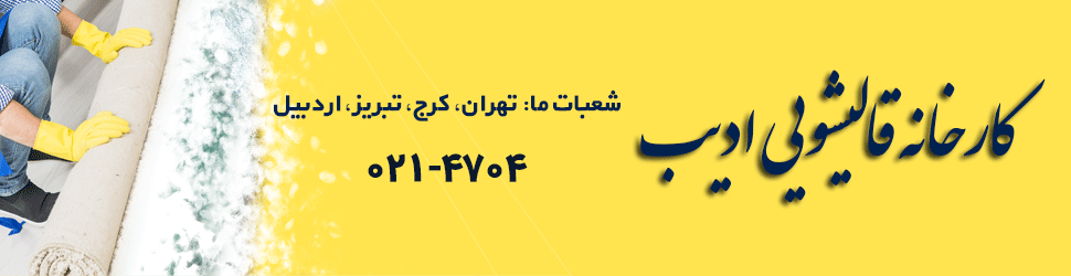 ادیب