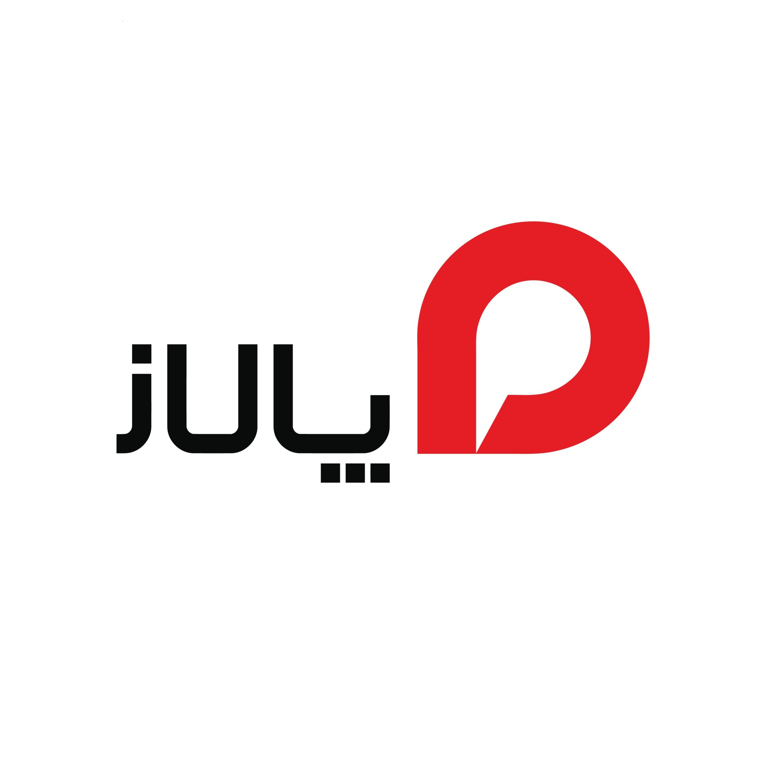 گروه صنعتی پالاز