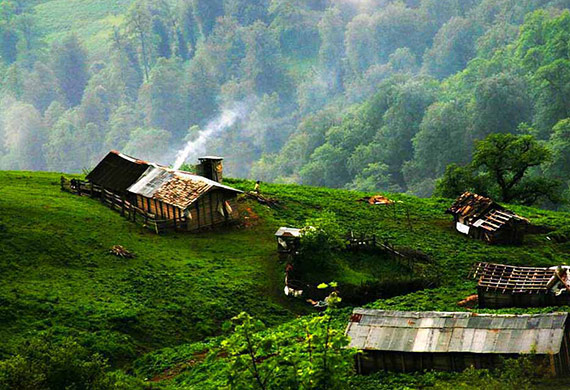 انگار کسی این خانه را با قیچی از شهر بریده و وسط گیلان چسبانده!