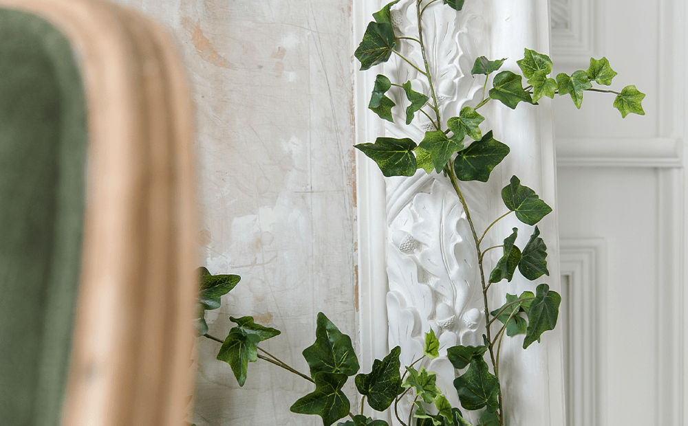 تخصص اصلی این گیاه دلبر، مبارزه با آلودگی هوا است