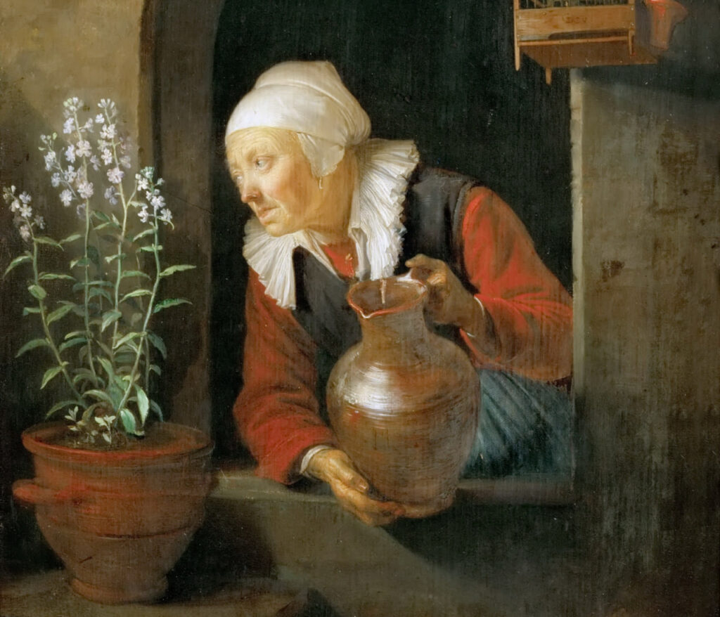 راز گلدان پیرزن همسایه فاش شد؛ کلی بغض و کمی اشک