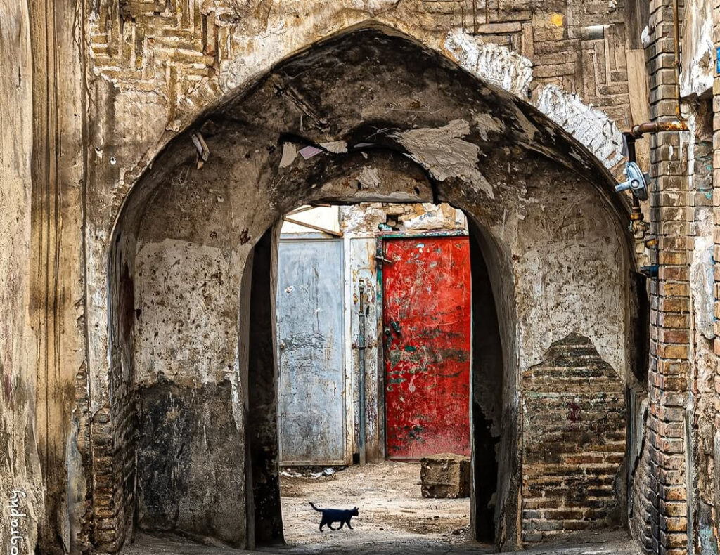 بوی چوب، سکوت پنجره؛ کوچه‌ای مثل کارت ‌پستال در تهران