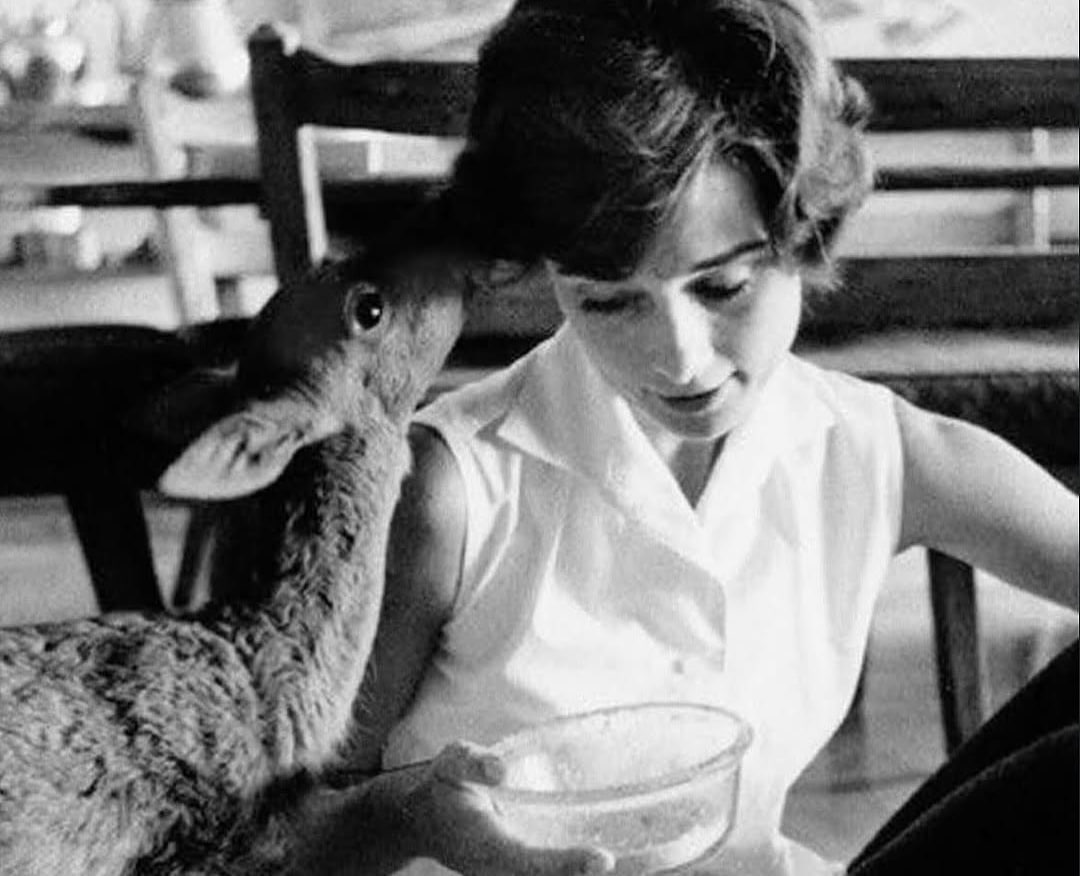 مبلمان معصوم‌ترین زن تاریخ که قشنگی خنده‌هایش تکرار نشد