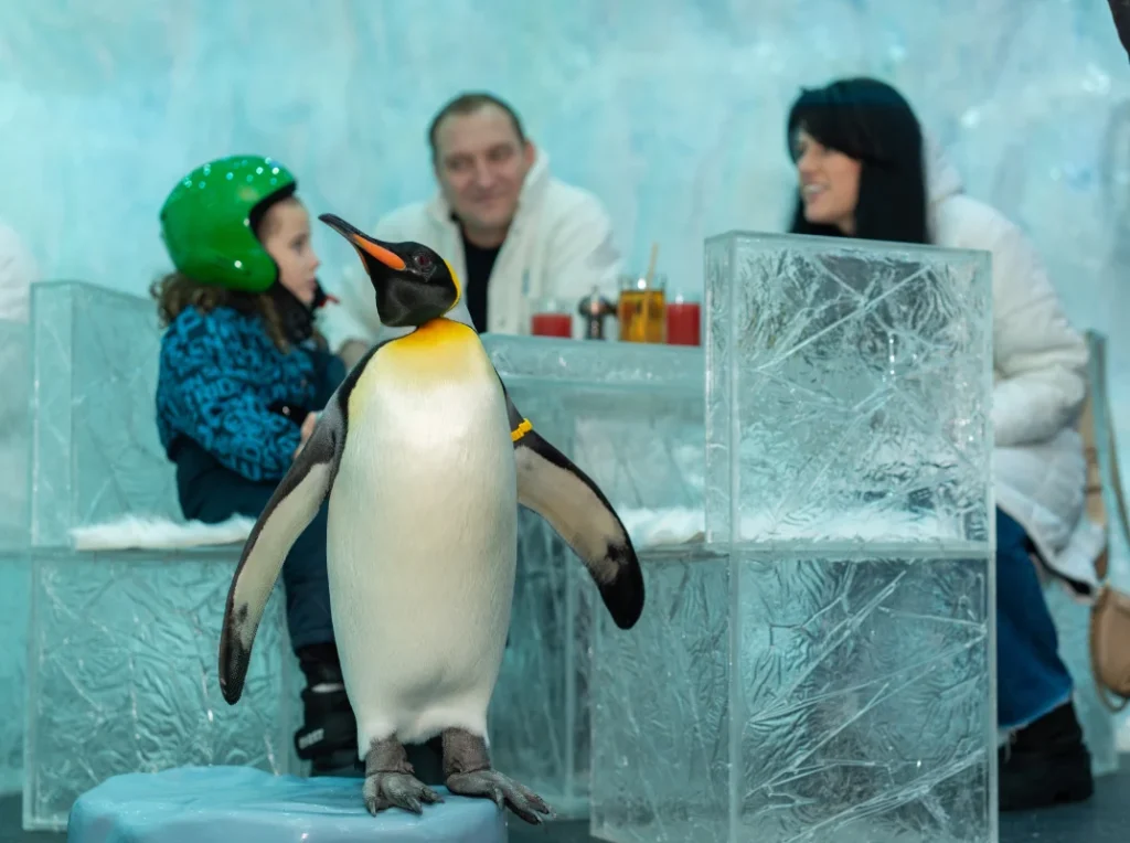 معماری یخی یک رستوران در دبی که پنگوئن‌ها ساکن آن هستند