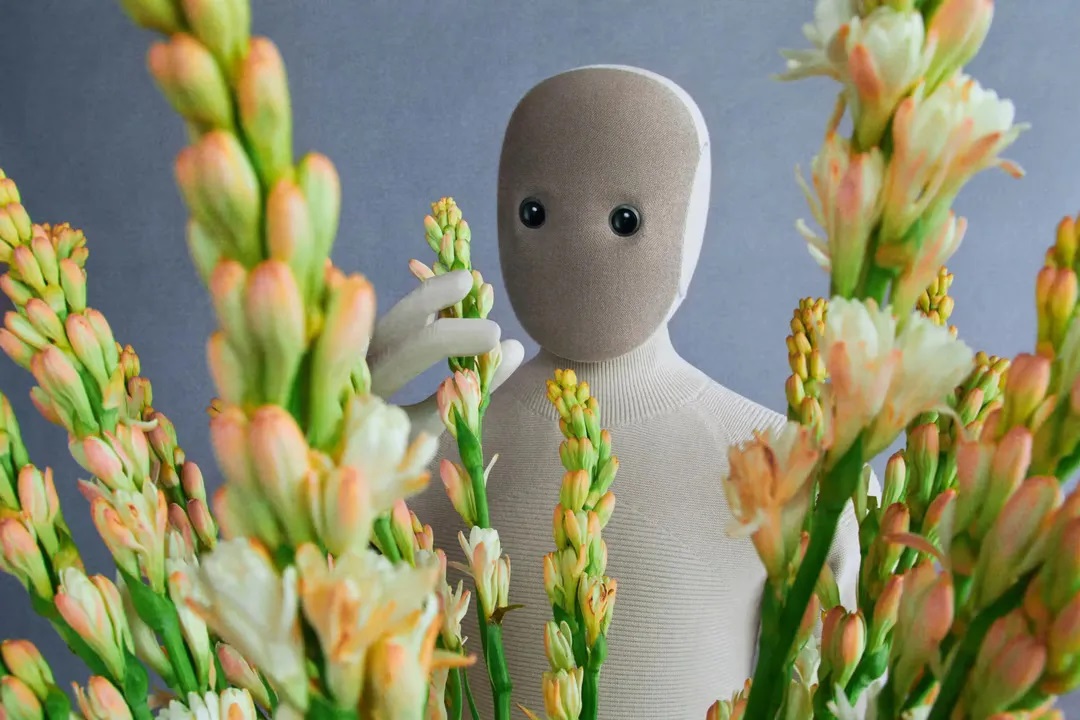 به زودی تمام خانم‌های کدبانو یکی از این ربات‌ها را می‌خرند