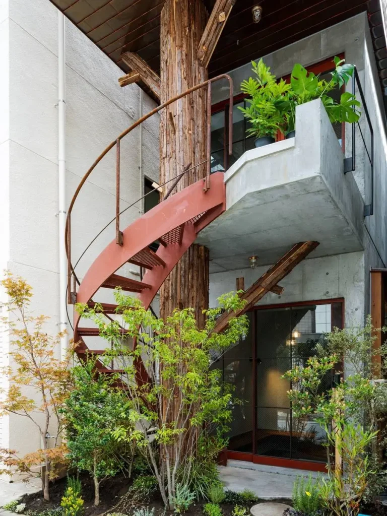 خانه‌ای به عرض ۳ متر؛ جایی که یک درخت، آرامش و حریم خصوصی می‌سازد!