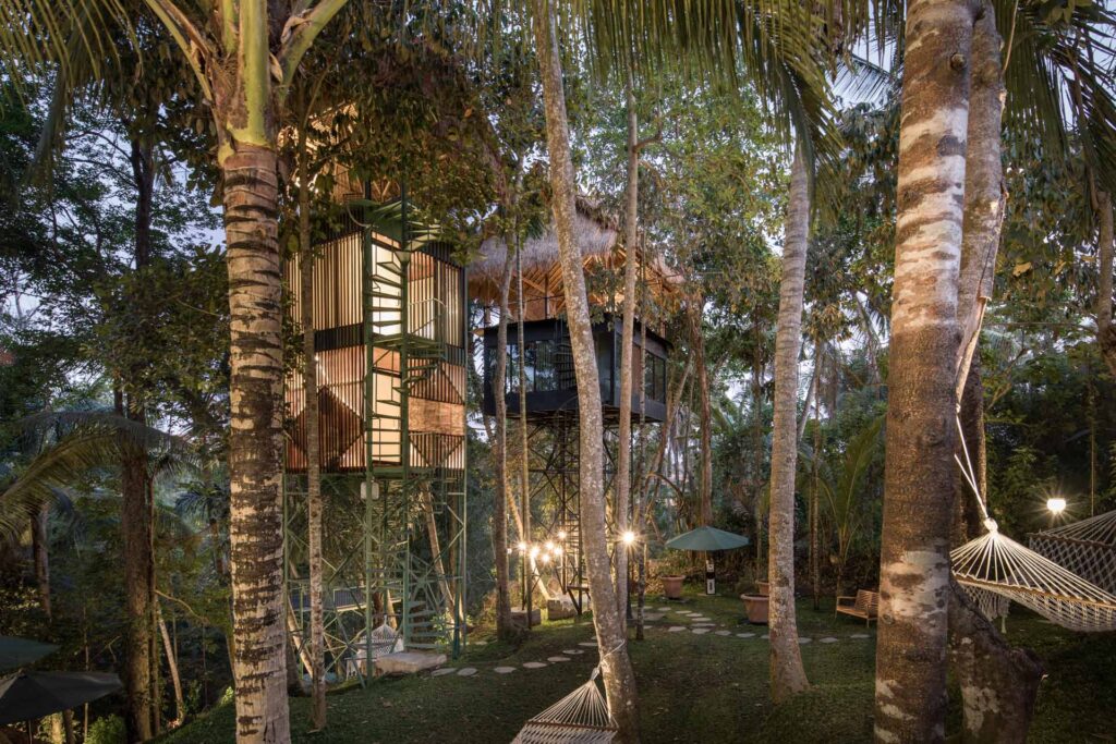 آسانسور چوبی این هتل خاص، گردشگران را ذوق‌زده کرد