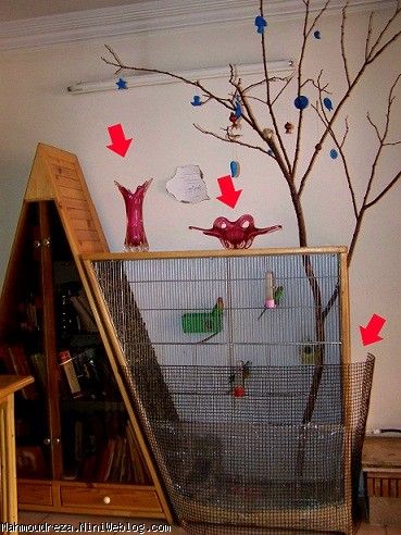 زوج خلاق بوفه ظروف را تبدیل به خانه پرندگان کرده‌اند