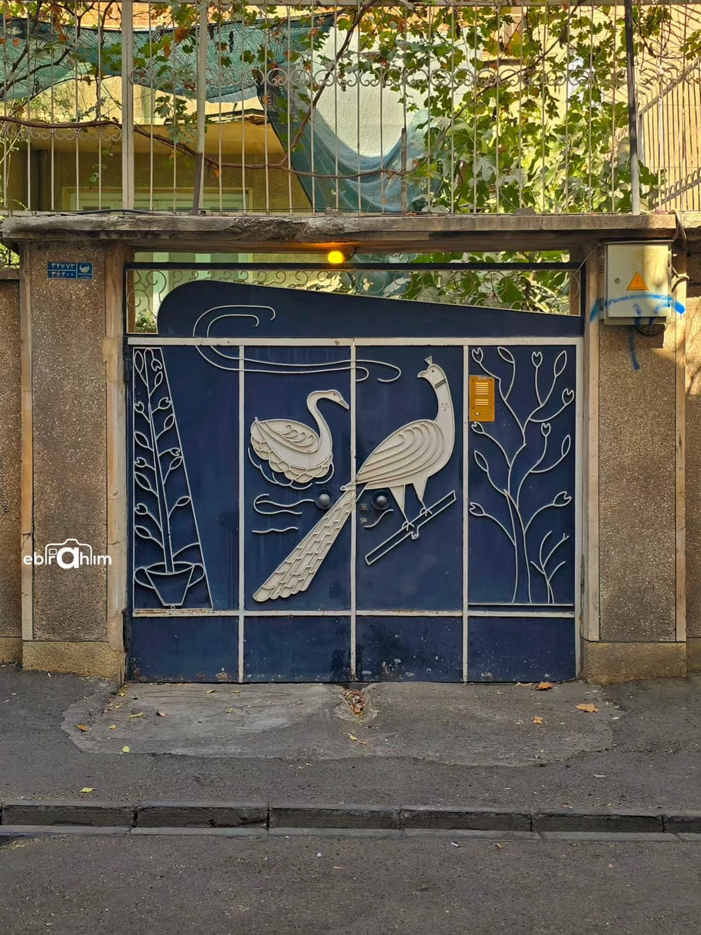 20 در زیبای تهران که همگی منقش به تصویر حیوانات هستند