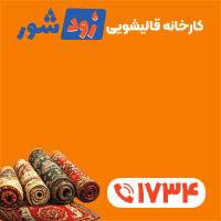 قالیشویی زود شور شناور