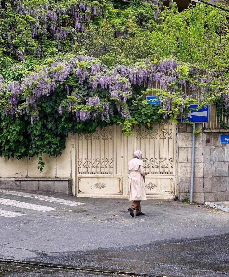 این خانه قدیمی در تهران، یک باغچه سرسبز روی دیوارهایش دارد!