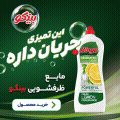 پاکشو - بینگو ظرفشویی - 1405/5/25 - شناور